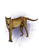 2024-01-17/44eb24c00ecbe90aac731334230809de_6fd898c7820f168cd91ad7ab5bb21530