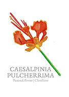 2024-01-19/4b4ab2b0ea07d6a851a8852220276e52_c8fff68764e751e8a9e0df515ee43ec8