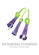 2024-01-19/b5315d4be27e28c677066a323f2663cf_dedda34a5f25fbc4c387589851ec8f73