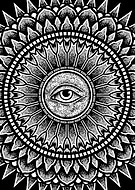 2024-01-22/d7f203cfecb7b83da940300bce227a1f_afab1781c2f2f53b4d9653900f4ecc12