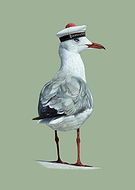 2024-01-25/fa83c33915b02f5edd972af3fb48aa66_1fd5939b7e78ab8f39d1ba9211379f9e