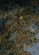 2024-01-28/4a2d5ae598fb1f822e4e7c9fade24f38_c92ee5560499029ab8f97594372855e6