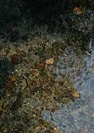 2024-01-28/aed1c053faf8bc517326f7a63fcc8b71_4d67eab575a144676440ef5f76729b81