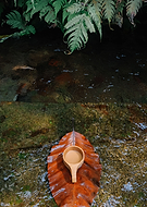 2024-01-28/f9eabdf66a3cced91e583b8ad978db3b_d7f422061b7b7ba9577aaeb0d479ae42