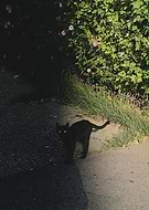 2024-02-02/d93a2ffee6a32b6290bd60c808fb3add_f2e632f9c711e8ee5446075e208ef1aa