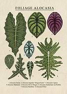 2024-02-07/b67b6120787528785b7232981359ad33_fa301a21df06484a518c74b958fef86b