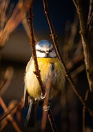 2024-02-11/370fdbab606529890a1024653ca7cf67_b3d86775e711feee5df4c905449d35ca