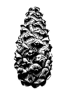 2024-02-11/3bea33c32b71895cff9bae4ce4662c27_160744f577426507b6c3b576acdef8cb