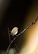 2024-02-11/7ffdf799ed20a84caf577e48e49665a8_adb7b5ad6d51e32cf59eaaad60cc7766