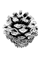 2024-02-11/b2b379e4f497ff6b611724f24b048c63_f0c171e7286b1e3cf70f4fc950aa8a65