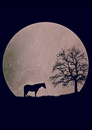 2024-02-13/8333f70d822944e6bddf4e0d0b7b7608_f76f81eeb442b699248ec33f77e3c681