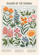 2024-02-14/eb8c4069e07d955d0d26109a0ddbda4c_06bade9e211fbcc1dc2352a044f2550d