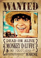 collection-preview-1