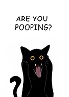 2024-02-18/01b88007119029664389f466f5a45090_ed4659c6af8e27a9c16314e4135f64df