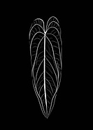 2024-02-22/2f699aac7559cf211373a81e1b886050_109ba6b5d915094513cd4a355f6a184a