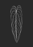 2024-02-22/3cef3f6ce18f1ffea8fd5c071cf9c4f7_3b51310241e43ac1694b6a1b124cf7e1