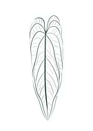 2024-02-22/7135ef79cb111007fd4dd30dfe44338b_214c3196a80de515479deafbf5c05d62