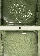 2024-02-23/202c5e71abf9c65cb93ecc349ced8c1d_1d43c5debc6757275aa2739a3a02c361