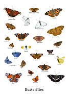 2024-02-23/66afab1f86ce86c85f84735d5473ef0b_7bc871bfc6bfb18cfcbc8fe47f475ec0