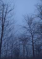 2024-02-27/c125bffbc6a880cc71357329f5c74c10_f0924a2d8facddb514cf221f2fdd9c41