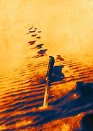 collection-preview-1