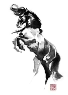 2024-03-06/20457b75bfb9b8a2056768660f6a677d_7166e4c0a5a5e794da539b3669a76795