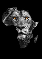 2024-03-06/32027776d7dbbde08c49f9fb49db97d9_c558689f56b5c31cbecae1eb9346770c