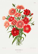 2024-03-09/488a4edb3fad4c49b575928a20840611_e915e85adec0a0188e386c94f9877cce