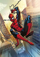 collection-preview-3