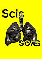 2024-03-13/42b8bdd1714e624b30cf9ea58f544b49_a4ad313627038ea7f997f25b11def6f7