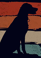 2024-03-16/90beb03eae9f324e057adce29f7abaa8_067710b65b101a55dc7fb749eda3e68f