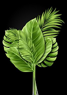 2024-03-20/bc8de1531e4682ad57ab128a98fcd4c0_f0f805432ff5897f13c0f23d38ff2ead