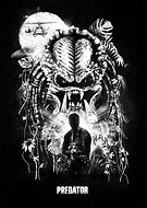 collection-preview-3