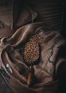 collection-preview-3