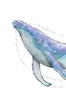 2024-04-04/aeac7845849f87f7da3f517368574915_d59afd649a19c300238b1bed6c58726b