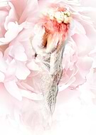 2024-04-07/106287a03435bd7d7b93a605ab5af144_79827fee902dca2ef4c06546819103b1