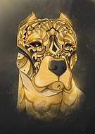 2024-04-14/cb63ef9227d16b83a7a9bc47642fd790_58a40352eee4ee6c819882e2a558d91b