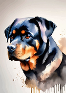 2024-04-22/c52e8b8d4a6d40160ba3321f32ca8f3b_5c876876c37812dcd3e7cdce089ac5c2