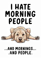 2024-04-23/aadce1f2c720c601b8cfb69a09b37e09_211f567d32c29707604b870c368e97cc