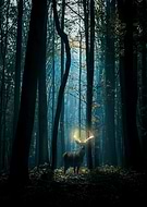 2024-04-25/3a9d56c1c75fac61075d275f9da291a6_15aa682b980e86304c31788355a67f64