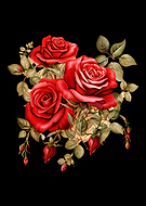 2024-04-25/c88bb9afa459ca882e4096407ca94f0b_51684828e3c14cdb197f399ae17cca23