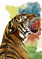 2024-04-28/71cc1a716fc157340c46129069e05eeb_7579b284e3b00298c759092c220d019c