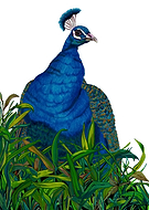 2024-04-28/bffb06d4884f373679f46f9e80a65df5_e8a4e961997362a1e5f8ba6f7c0c8b4f