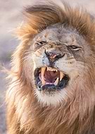 2024-05-01/455b5d1a2597ad642883c778e595198b_d2203deaea8dab0fb2b5ea42a22ec34c