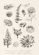 2024-05-02/69e300c5b835691cefef655066351744_7514c0a478209ec3120f4294c46e5ed0