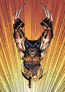 collection-preview-2