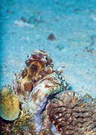 2024-05-04/26bf0bb7af8c4dd6bab97b53269a99c1_96bcdfd9d02e830ed813028654865c6a