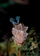 2024-05-04/d03362a9bd19844f45cc11c9bd5b4542_fcd7e4d4358ef882e583c61f00ccc73f