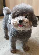 2024-05-09/9f52b8cfd6bc844098c9c1d2e0a8c443_e15f94d45b7b006b497f53ee86a0255f