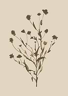 2024-05-14/4e57a5583fd9d3460f53b6020b29551f_6da3d66e75c544775d923909bd3271df